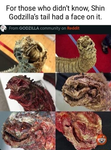 For those who didnt know Shin Godzillas tail had a face on it