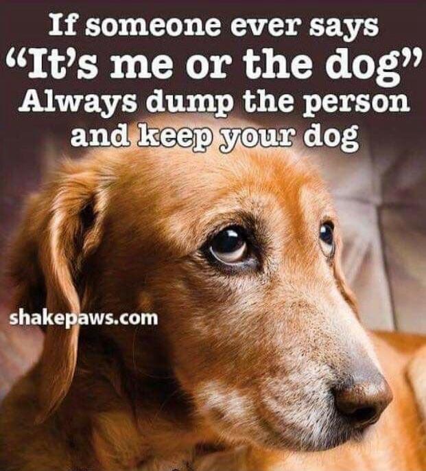 If someone ever says 
