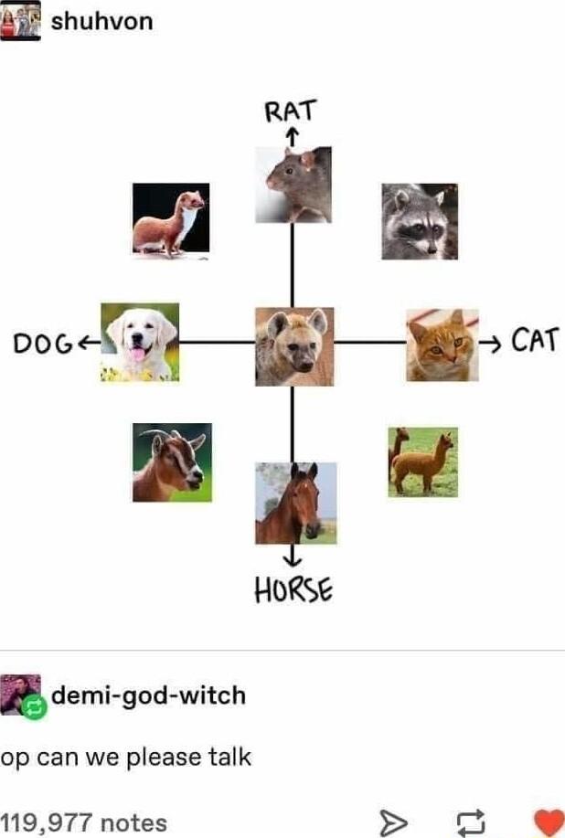 HoRse demigodwitch op can we please talk 119977 notes 0