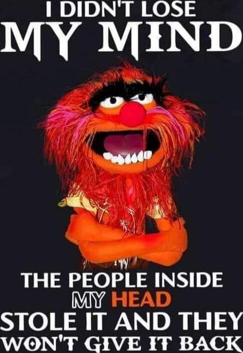 I DIDN'T LOSE MY MIND THE PEOPLE INSIDE MY HEAD STOLE IT AND THEY WON'T GIVE IT BACK