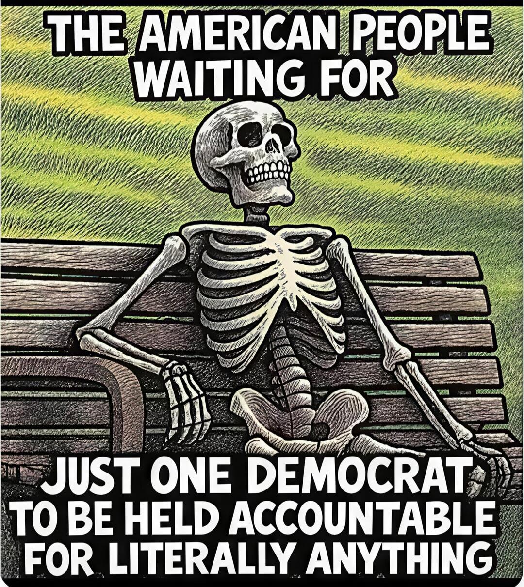 THE AMERICAN PEOPLE WAITING FOR JUST ONE DEMOCRAT TO BE HELD ACCOUNTABLE FOR LITERALLY ANYTHING
