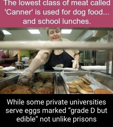 Ine lowest class of meat called NO7 131 T N SHVETTe B o lfo oTo e oTo I08 and school lunches While some private universities serve eggs marked grade D but edible not unlike prisons