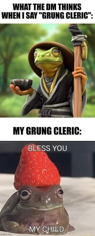WHAT THE DM THINKS WHEN SAY GRUNG CLERIC MY GRUNG CLERIC BLESS YOU ol MY CHIED