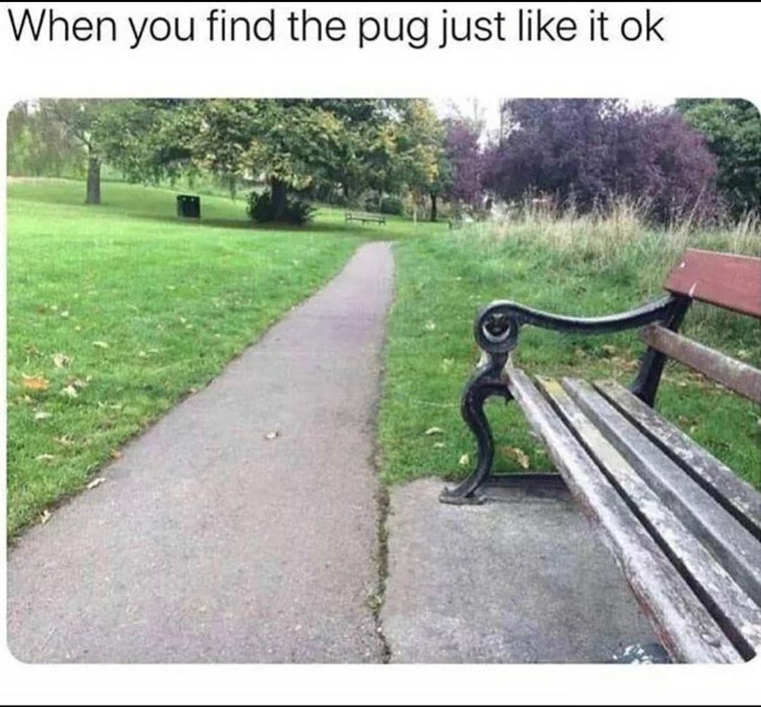 When you find the pug just like it ok