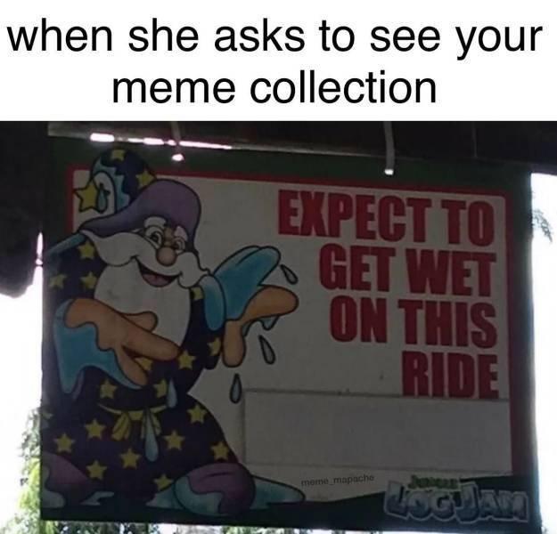 when she asks to see your meme collection e