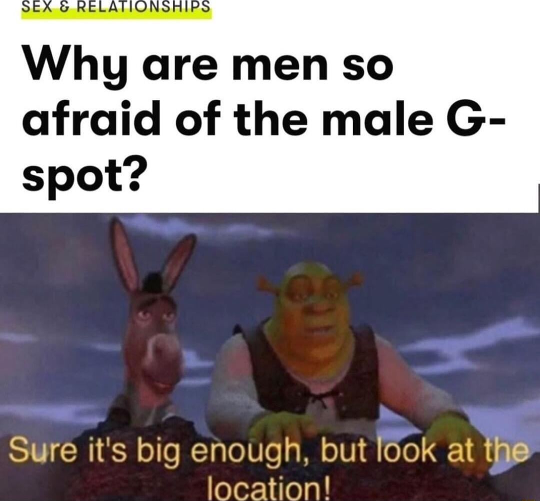 Why are men so afraid of the male G spot Sure its big enough but ook at the location