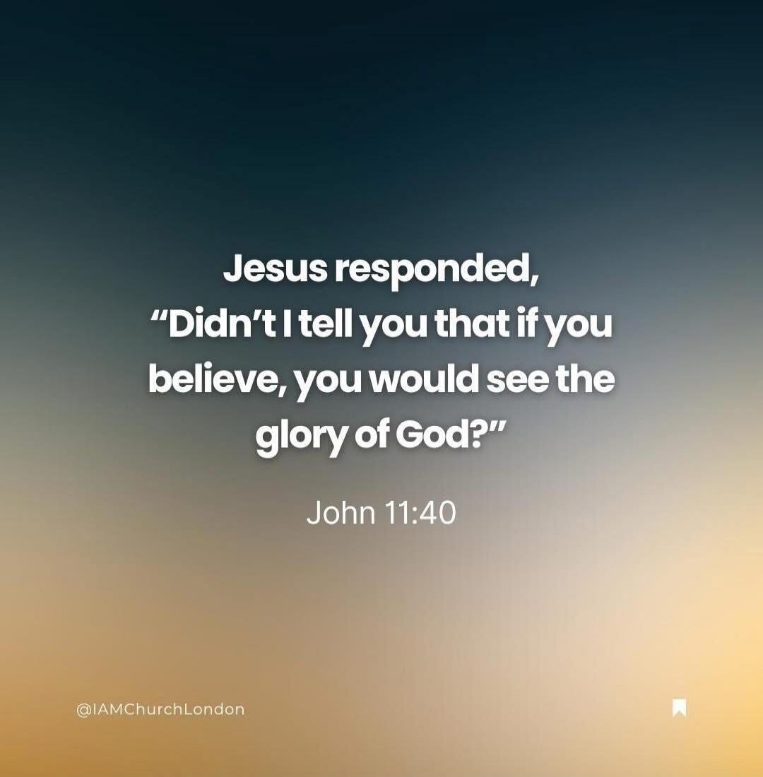 Jesus responded, “Didn’t I tell you that if you believe, you would see the glory of God?” John 11:40