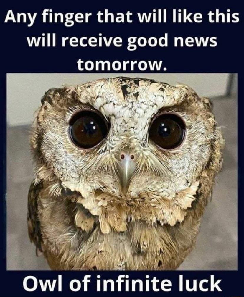 LA GG IR UCR G T will receive good news tomorrow owl of nfnte Iuck