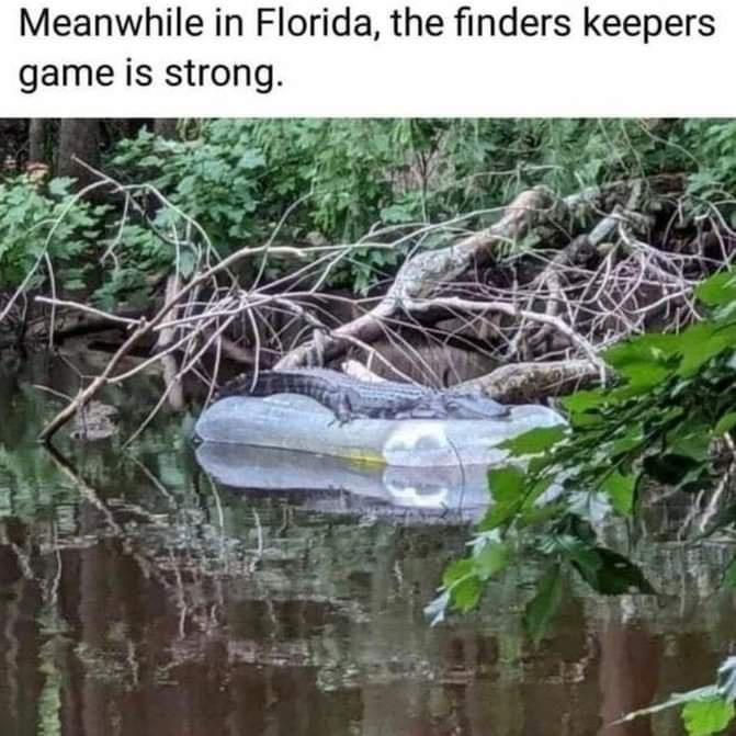 Meanwhile in Florida the finders keepers game is strong