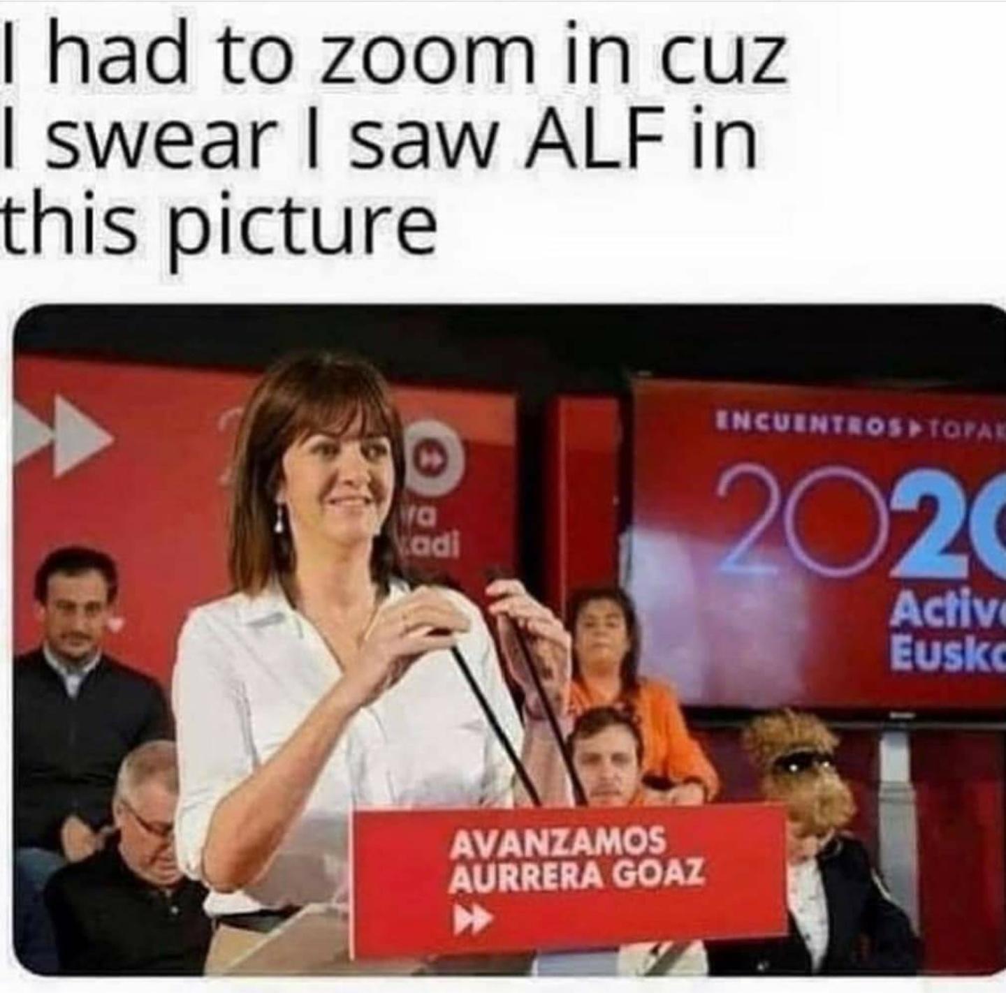 had to zoom in cuz swear saw ALF in this picture