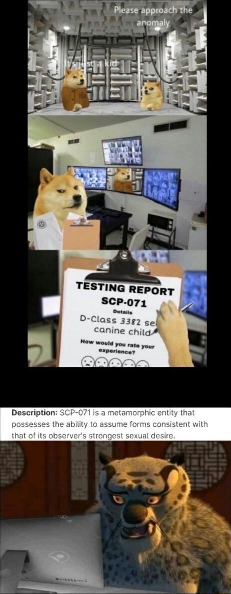 TESTING REPORT SCP 071 7 N