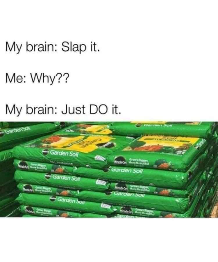 My brain Slap it Me Why My brain Just DO it PRt