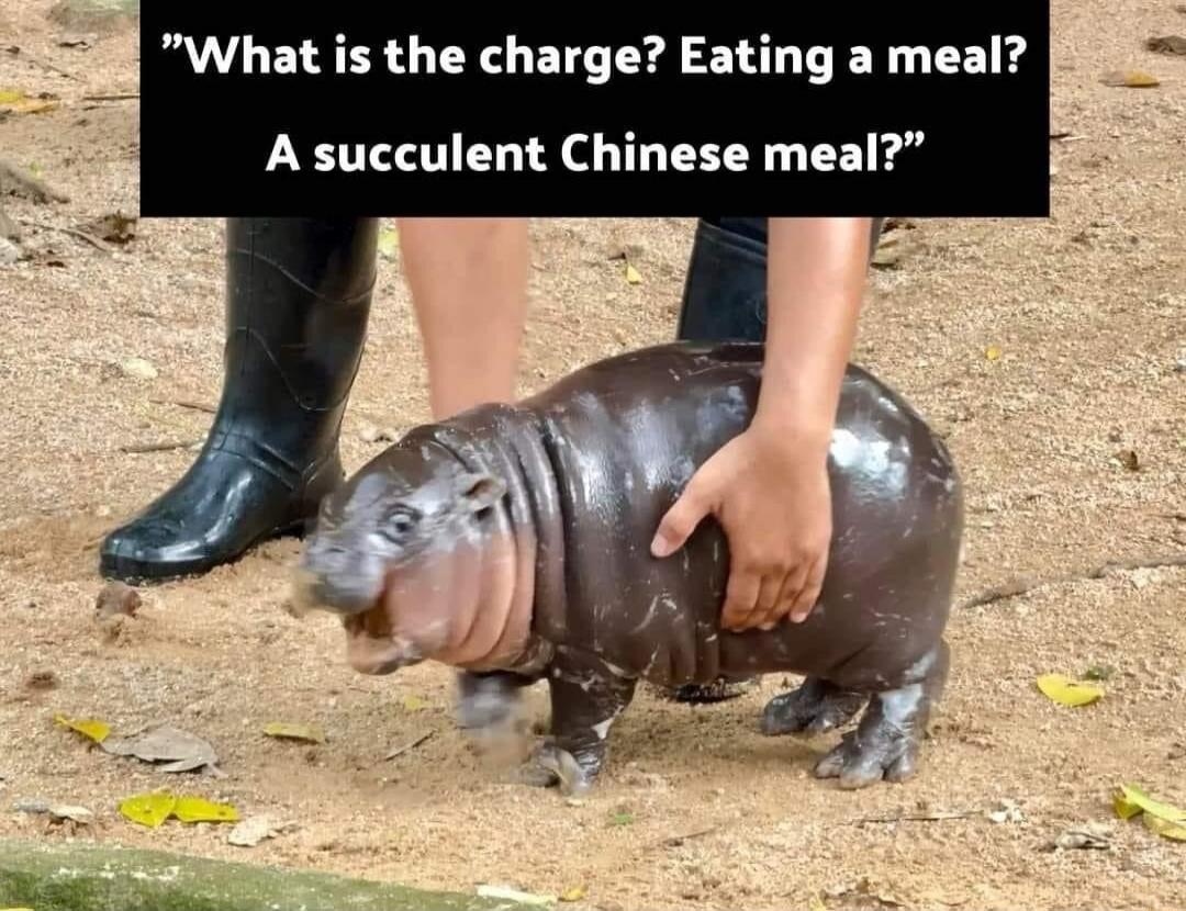 What is the charge Eating a meal A succulent Chinese meal