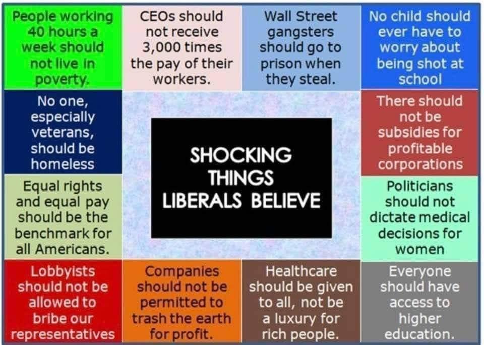 No one especially veterans should be homeless Equal rights and equal pay should be the benchmark for all Americans CEOsshould Wall Street not receive gangsters 3000times shouldgo to the pay of their prisonwhen workers they steal SHOCKING THINGS LIBERALS BELIEVE No child should ever have to worry about being shot at school Politicians should not dictate medical decisions for women