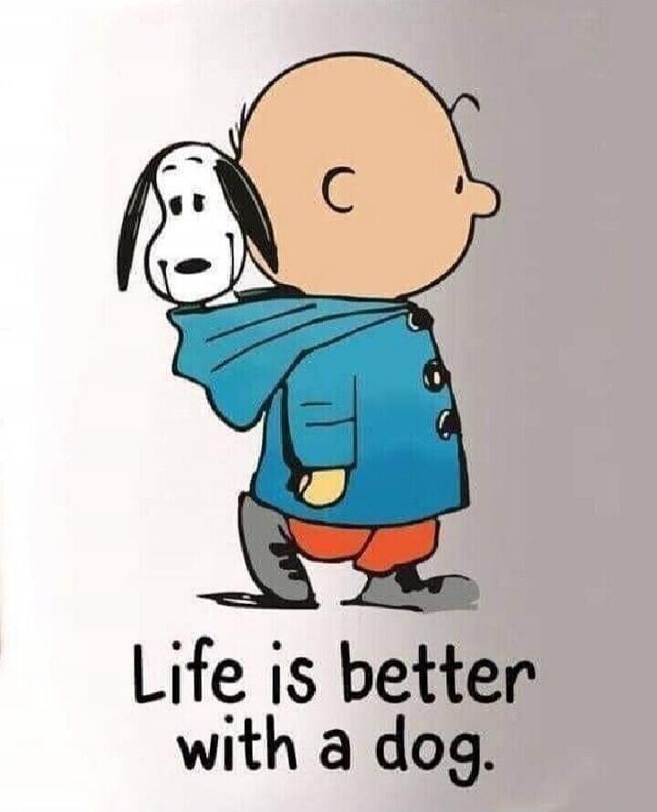 Life is better with a dog.