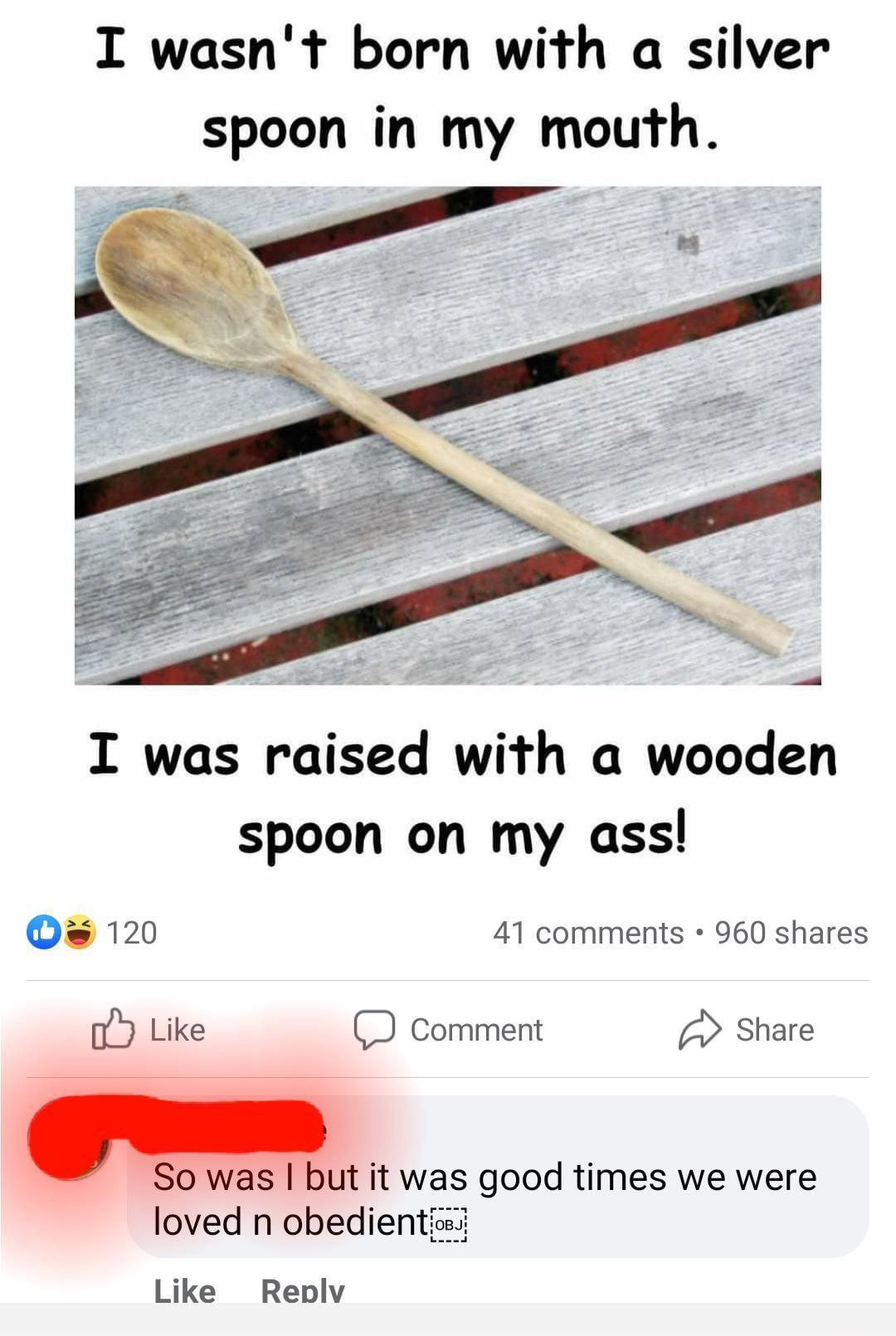 I wasnt born with a silver spoon in my mouth I was raised with a wooden spoon on my ass Os 120 41 comments 960 shares Like Comment Share i w So was but it was good times we were Like Reblv