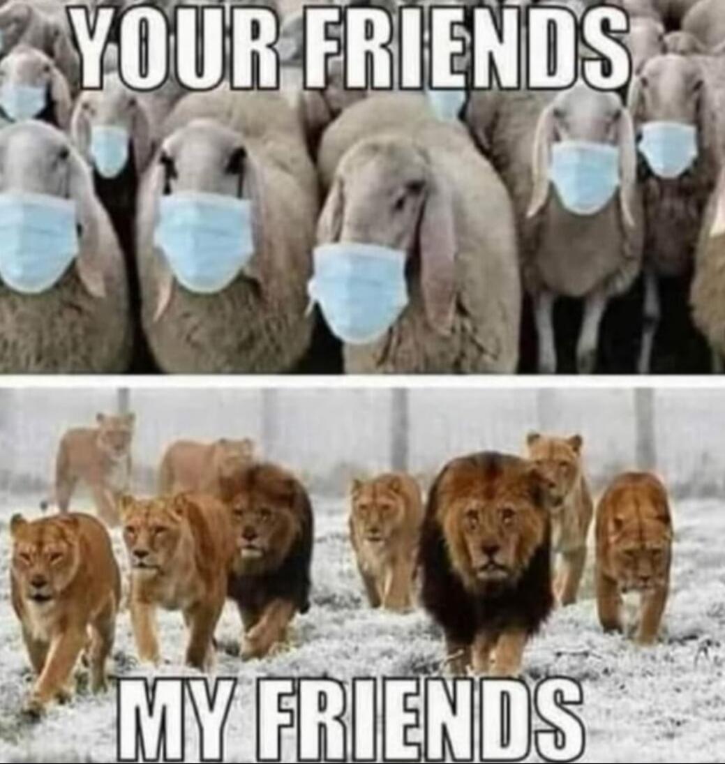 YOUR FRIENDS MY FRIENDS