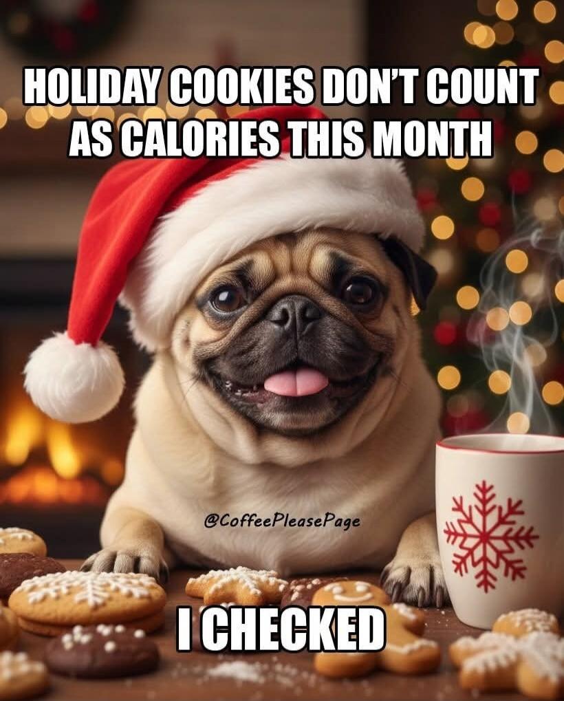 HOLIDAY COOKIES DON'T COUNT AS CALORIES THIS MONTH I CHECKED