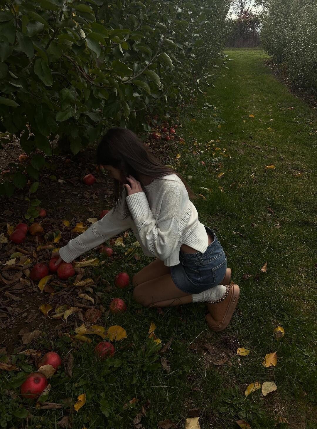 A person kneeling and picking apples in an apple orchard during fall.