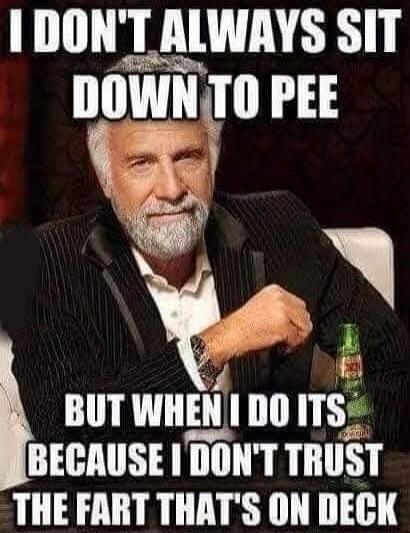 I DON'T ALWAYS SIT DOWN TO PEE BUT WHEN I DO ITS BECAUSE I DON'T TRUST THE FART THAT'S ON DECK