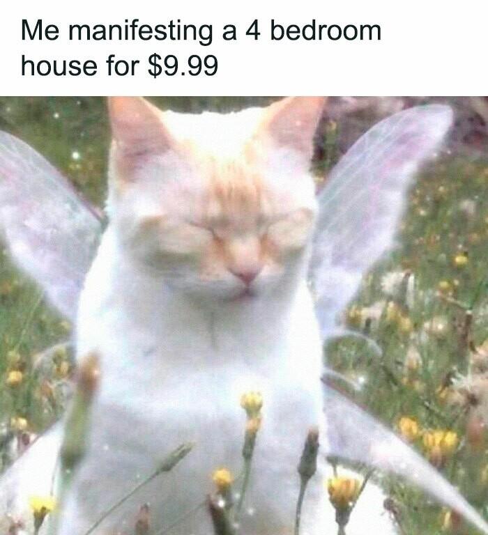 Me manifesting a 4 bedroom house for 999
