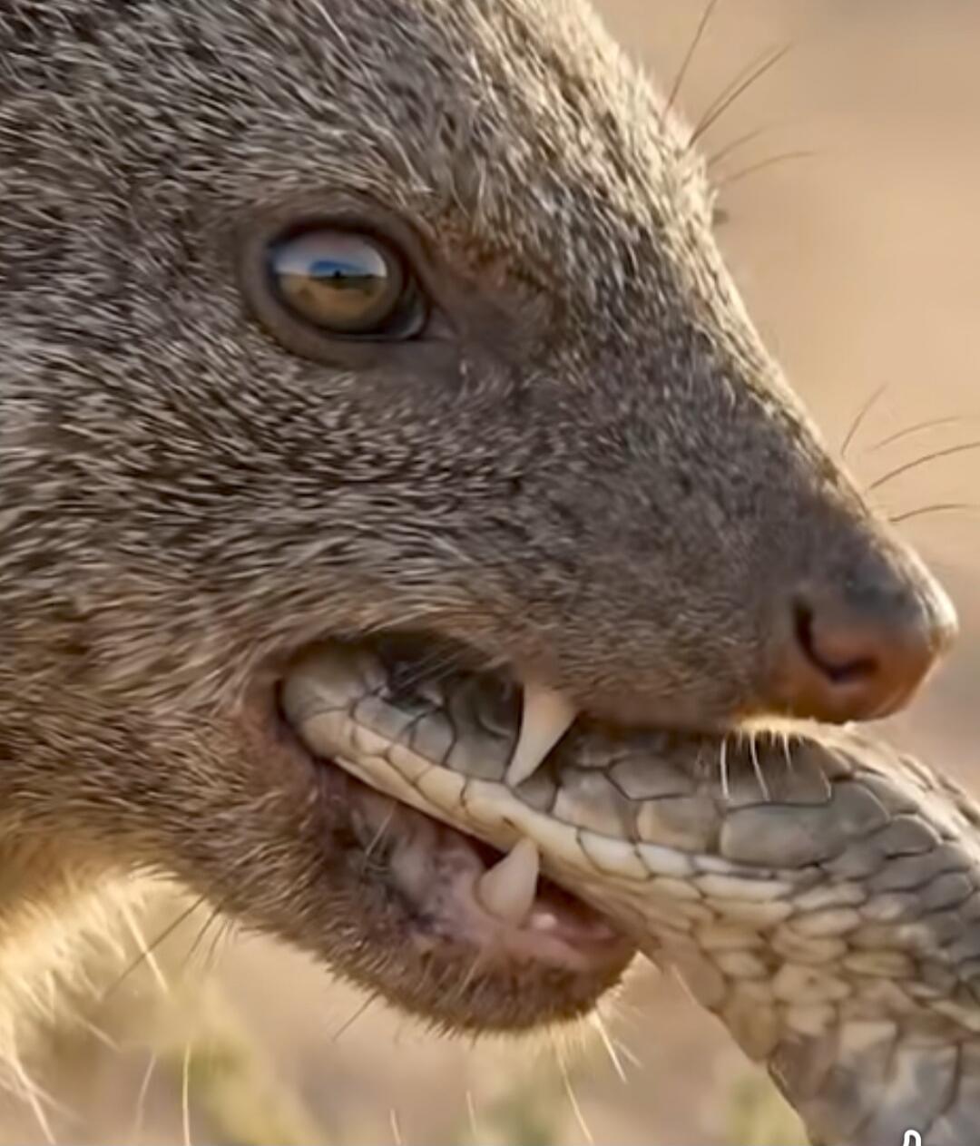 Session ID: 1084839.