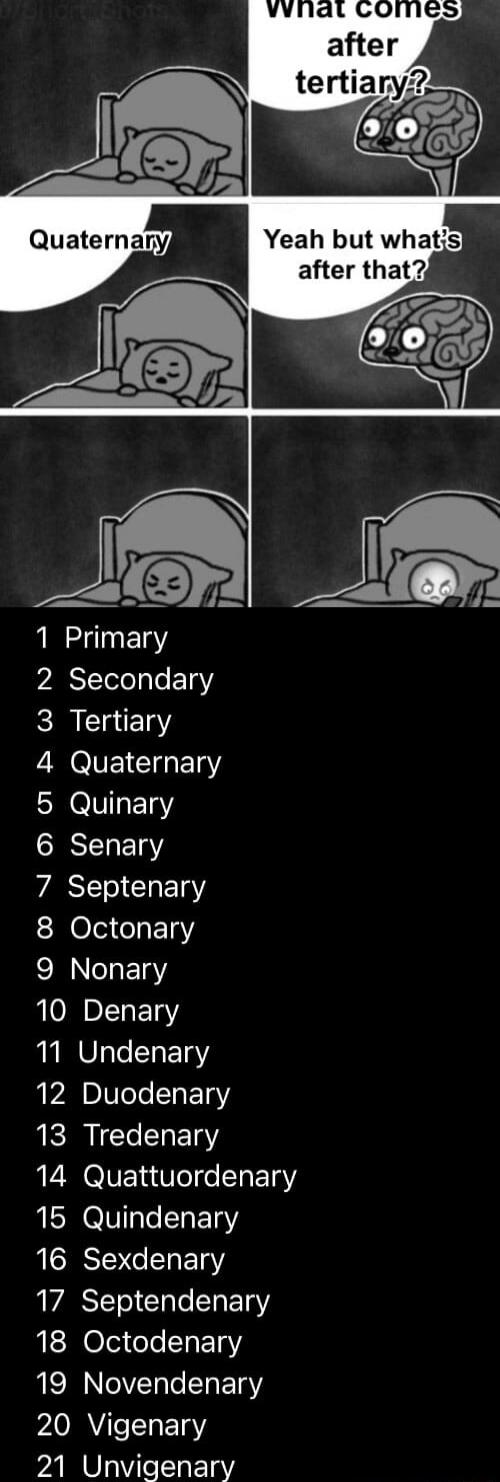 What comes after tertiary?\nQuaternary\nYeah but what’s after that?\n1 Primary\n2 Secondary\n3 Tertiary\n4 Quaternary\n5 Quinary\n6 Senary\n7 Septenary\n8 Octonary\n9 Nonary\n10 Denary\n11 Undenary\n12 Duodenary\n13 Tredenary\n14 Quattuordenary\n15 Quindenary\n16 Sexdenary\n17 Septendantry\n18 Octodenary\n19 Novendenary\n20 Vigenary\n21 Unvigeneray