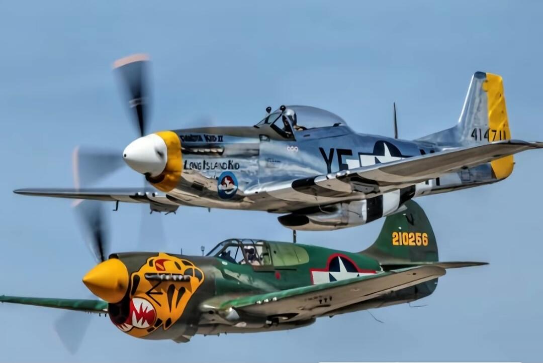 Long Island; 210256; 41 476 (possible tail numbers) on the silver plane; tiger mouth nose art on the green plane.