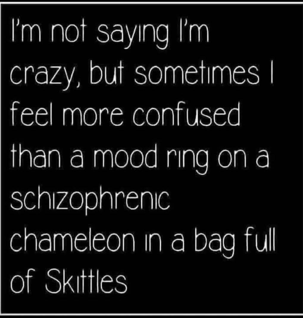 I'm not saying I'm crazy, but sometimes I feel more confused than a mood ring on a schizophrenic chameleon in a bag full of Skittles