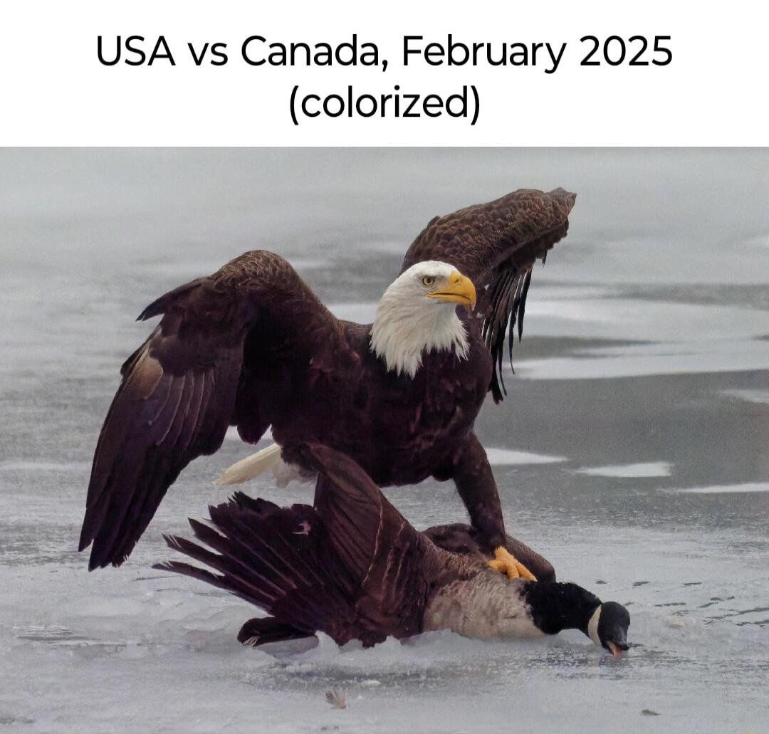 USA vs Canada February 2025 colorized