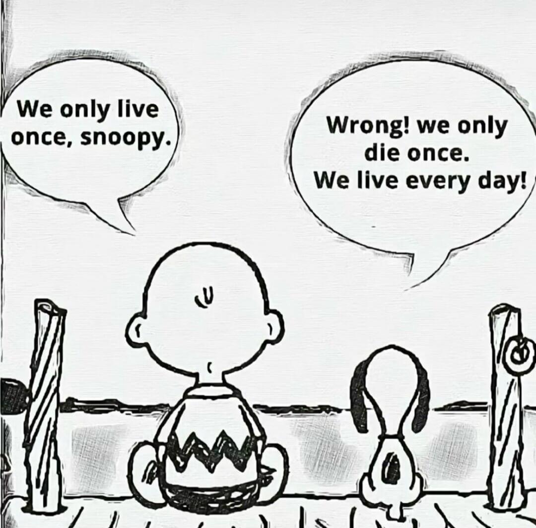 We only live once, snoopy. Wrong! we only die once. We live every day!
