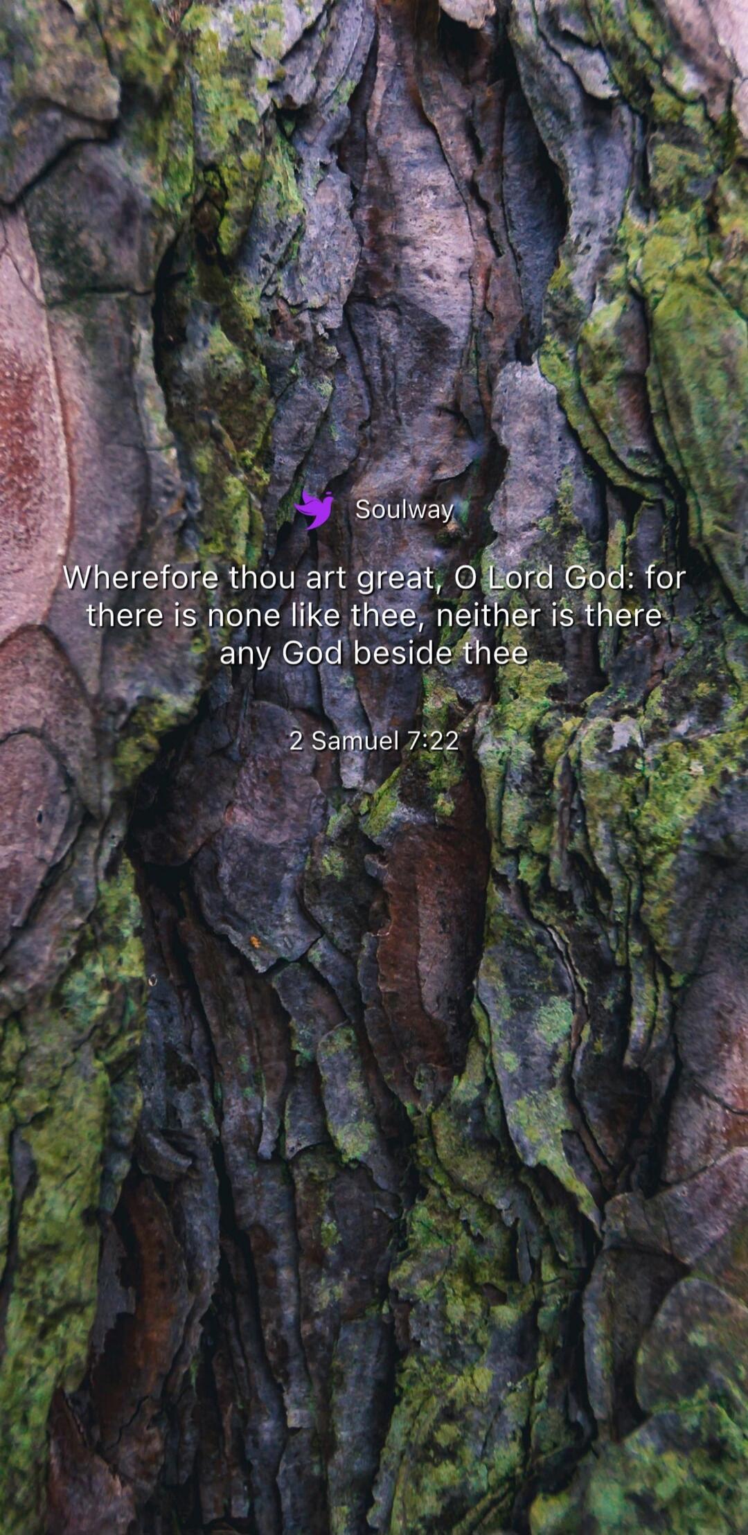 Soulway Wherefore thou art great, O Lord God: for there is none like thee, neither is there any God beside thee 2 Samuel 7:22