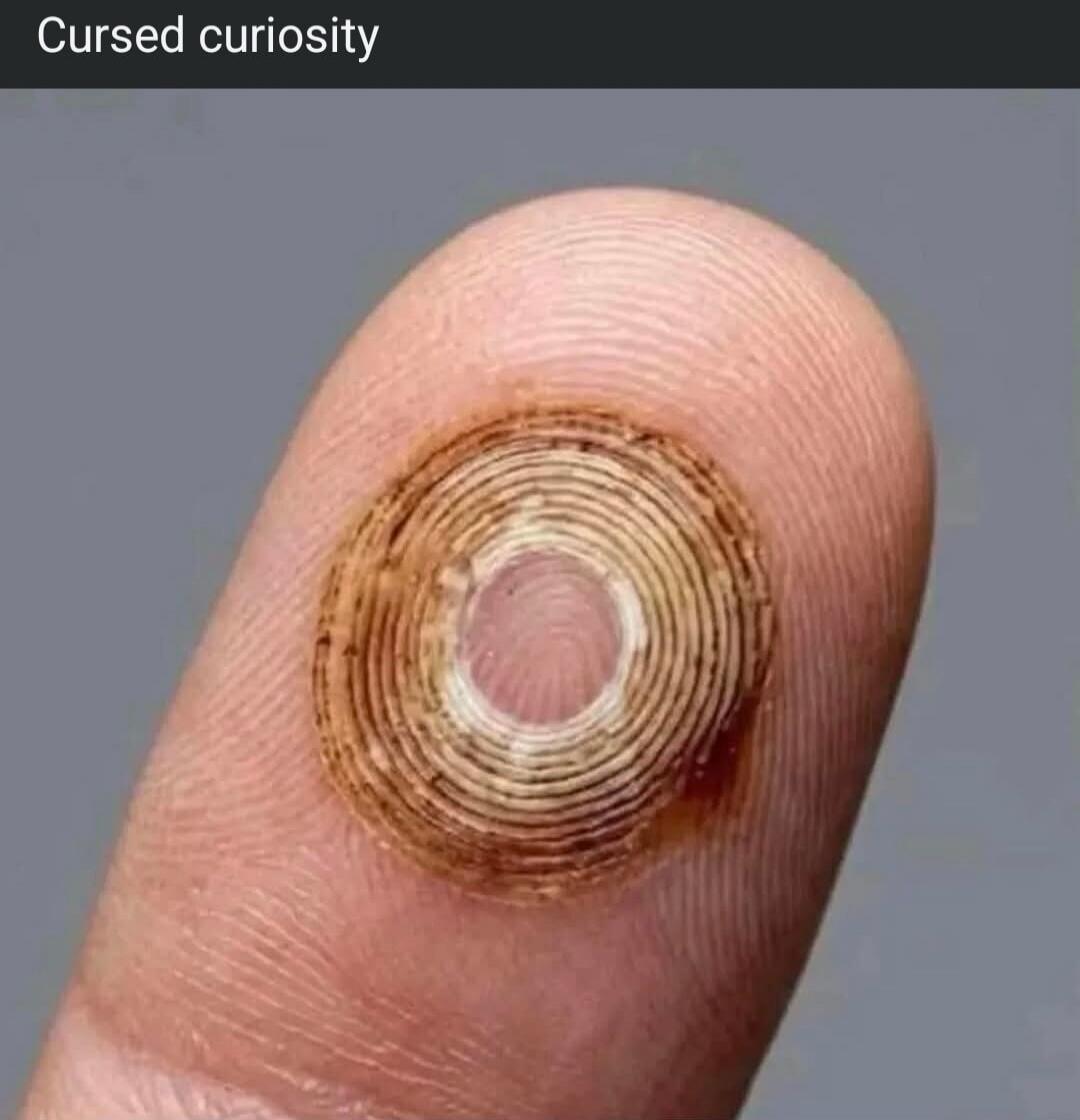 Cursed curiosity
Session ID: 1081462.