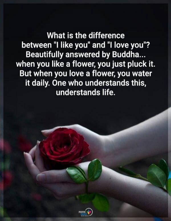 What is the difference between 