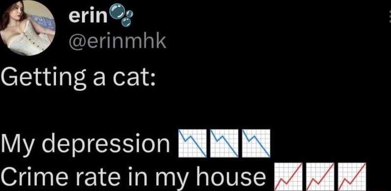 erin erinmhk Getting a cat My depression ENENE Crime rate in my house 4 B4