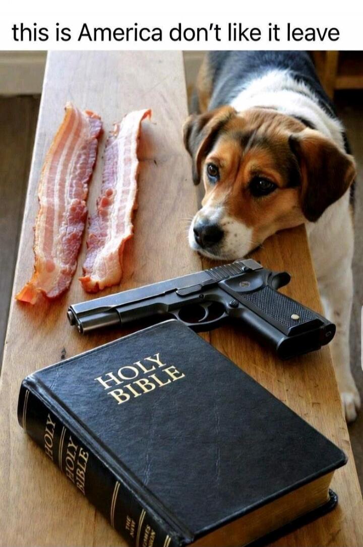this is America don't like it leave HOLY BIBLE
