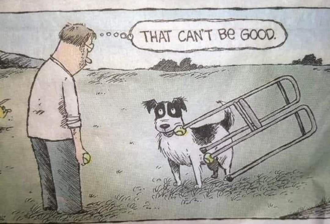 il w THAT um B2 6000