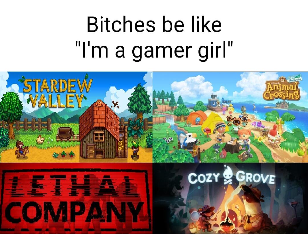 Bitches be like Im a gamer girl