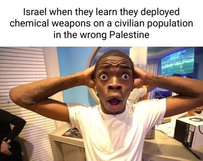 Israel when they learn they deployed chemical weapons on a civilian population in the wrong Palestine