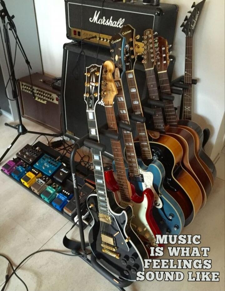 MUSIC IS WHAT FEELINGS SOUND LIKE