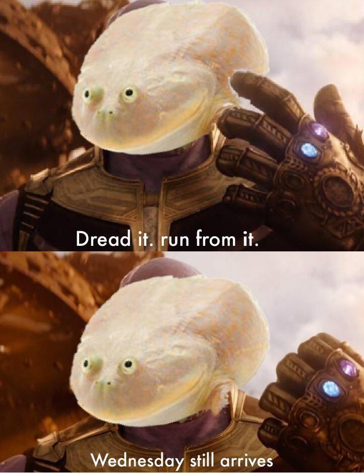 Dreadiit run from it St Wednesday still arrives
