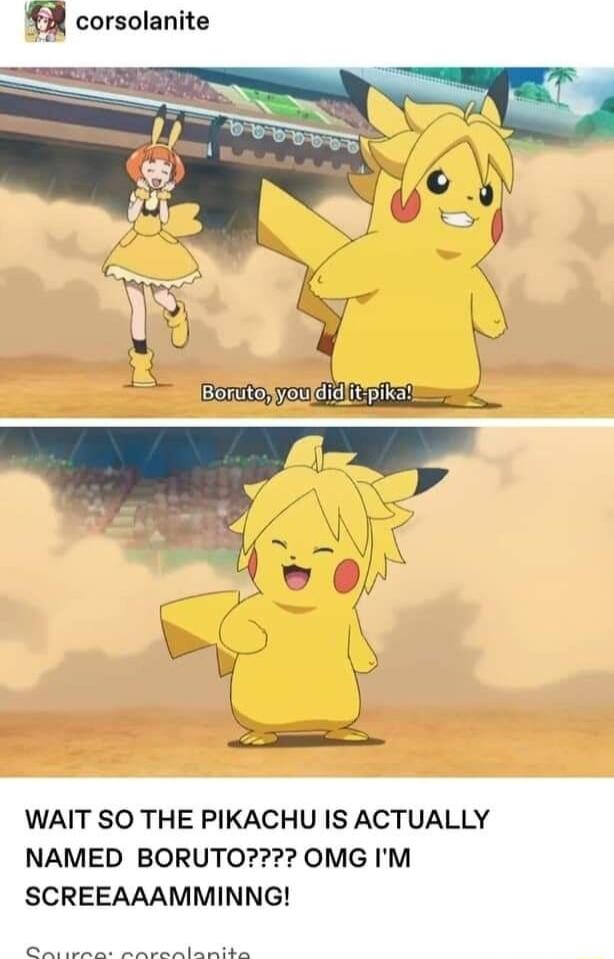 corsolanite WAIT SO THE PIKACHU IS ACTUALLY NAMED BORUTO OMG IM SCREEAAAMMINNG IRt T