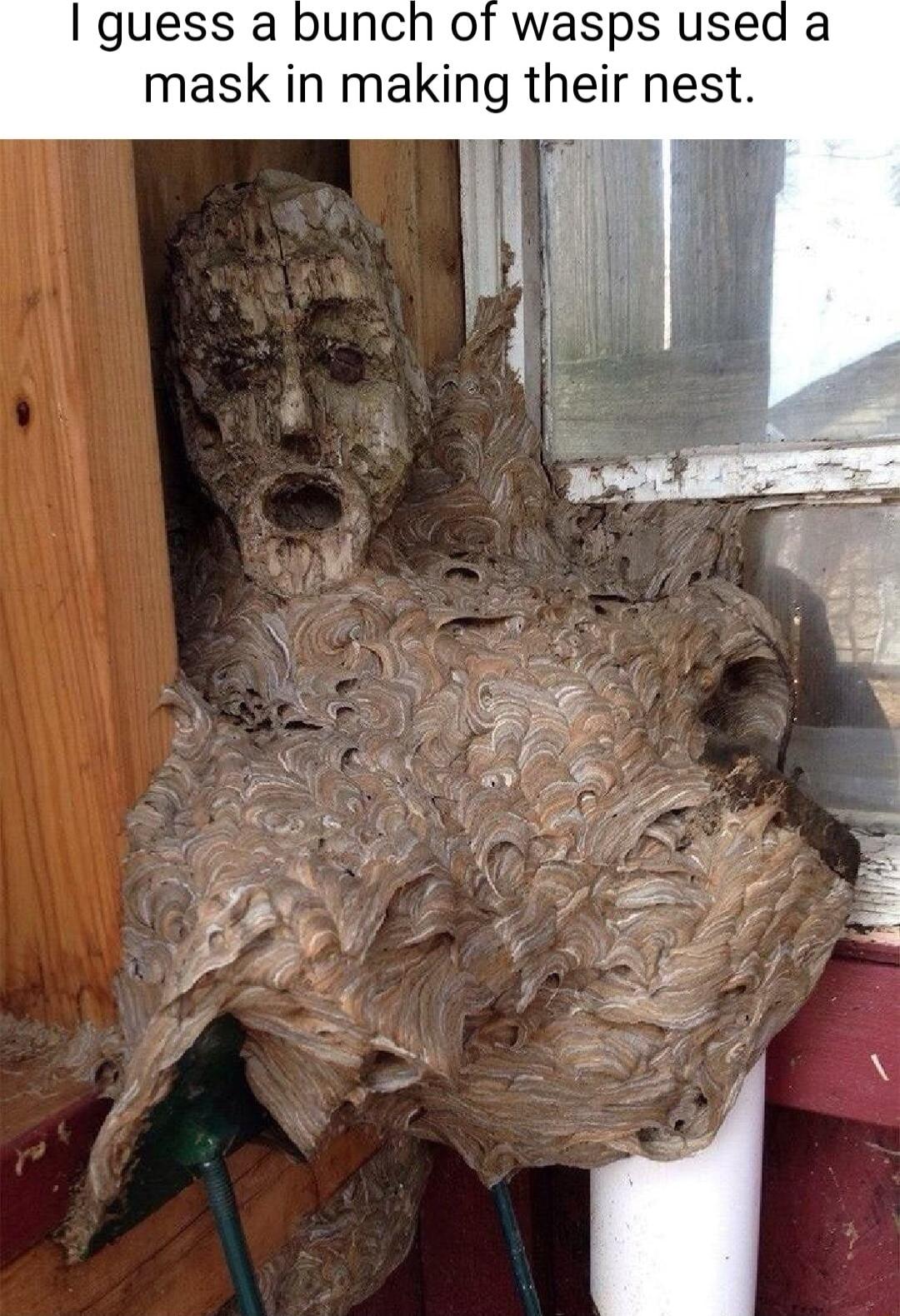 guess a bunch of wasps used a mask in making their nest