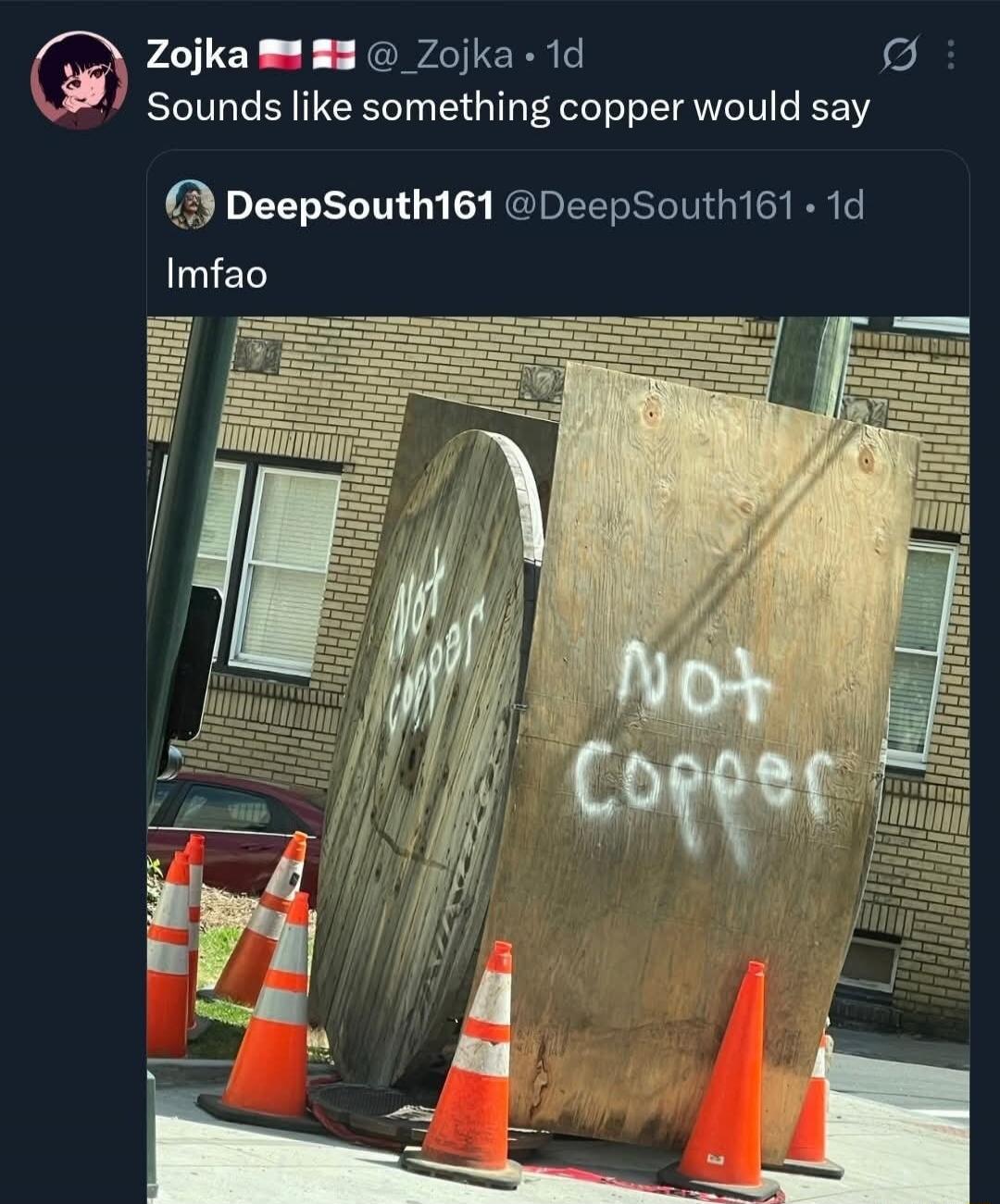 Zojka Sounds like something copper would say DeepSouth161 lmfao Not Copper Not Copper