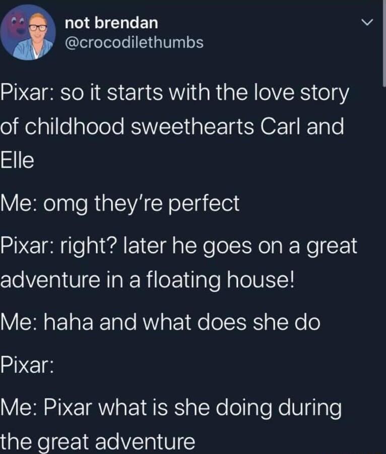 not brendan crocodilethumbs Pixar so it starts with the love story ol elgllleplelele RAWVETS G LT CYOF I Kol Elle Me omg theyre perfect Pixar right later he goes on a great adventure in a floating house Me haha and what does she do Pixar VCREVET RN E Rl aT Ne ollaTeNe U 4lale the great adventure
