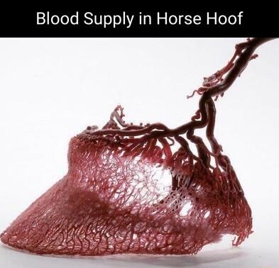 f o S I o a a 7 o o K o