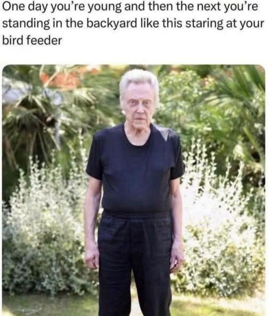 One day you're young and then the next you're standing in the backyard like this staring at your bird feeder