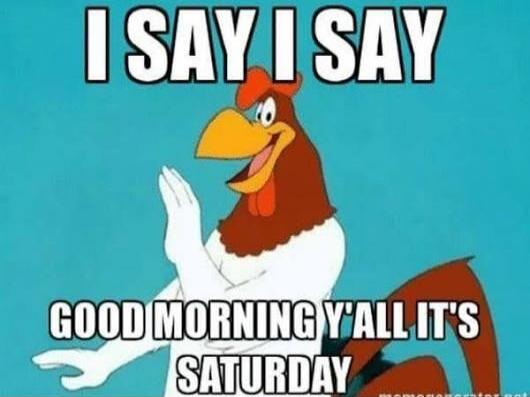 I SAY I SAY GOOD MORNING Y'ALL IT'S SATURDAY