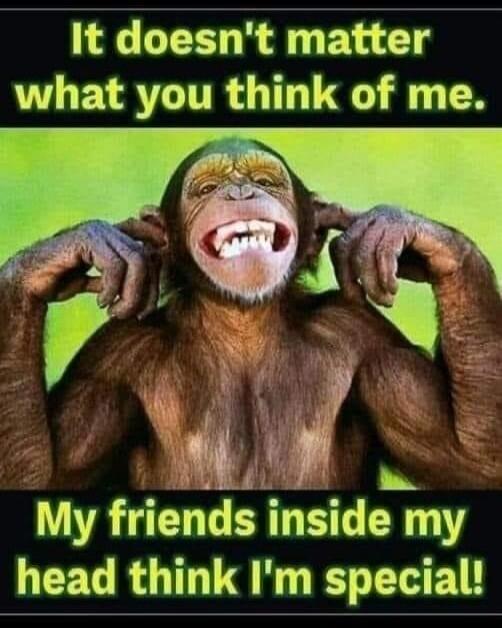 It doesn't matter what you think of me. My friends inside my head think I'm special!