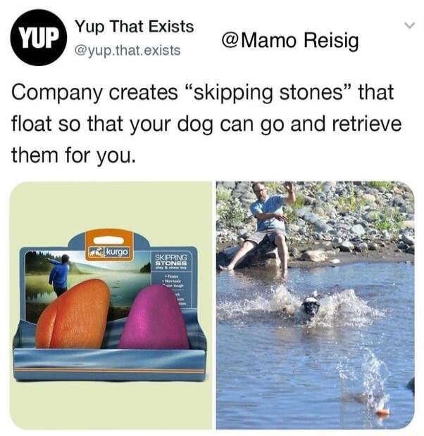 Yup That Exists g yupthatexists Mamo Reisig Company creates skipping stones that float so that your dog can go and retrieve them for you